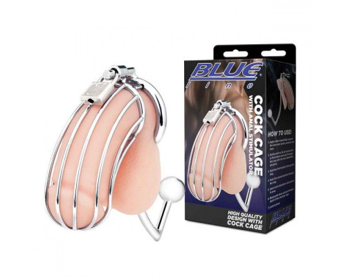 Заказать Серебристая металлическая клетка с анальным стимулятором Cock Cage