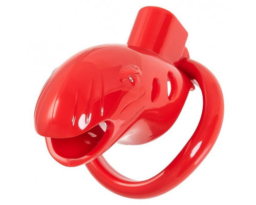 Заказать Красный мужской пояс верности из пластика