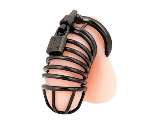Заказать Черная металлическая клетка с замком Deluxe Chastity Cage