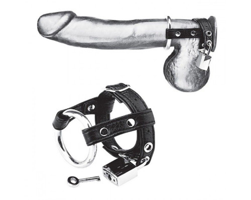 Заказать Утяжка на пенис на замочке Duo Cock And Ball Lock
