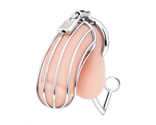 Заказать Серебристая металлическая клетка с анальным стимулятором Cock Cage