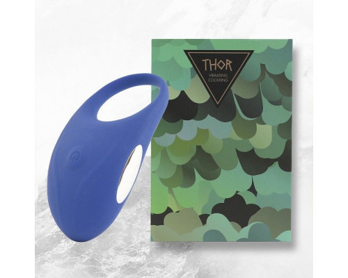 Заказать Синее кольцо с вибрацией Thor Cockring