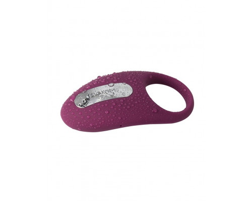 Заказать Фиолетовое эрекционное кольцо Winni с вибрацией и пультом ДУ