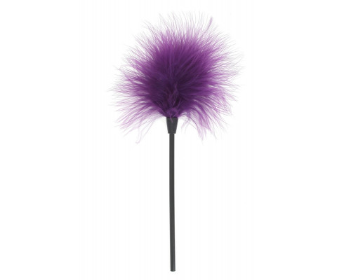 Заказать Эротический набор FANTASTIC PURPLE SEX TOY KIT