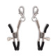 Заказать Большой эротический набор из 12 предметов Interchangeable Collar   Nipple Clips Set