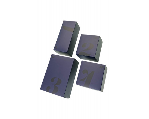 Подарочный набор Satisfyer Advent Box Love