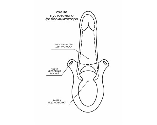 Заказать Пустотелый фаллопротез-реалистик на ремешках с заклепками - 19 см.