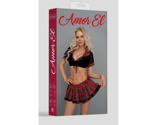 Заказать Игровой костюм дерзкой школьницы