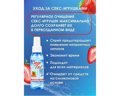 Заказать Очищающий спрей для игрушек CLEAR TOY Strawberry - 100 мл.