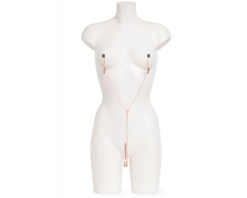 Заказать Золотистые зажимы для сосков и клитора All Sensation Nipple and Clitoral Chain