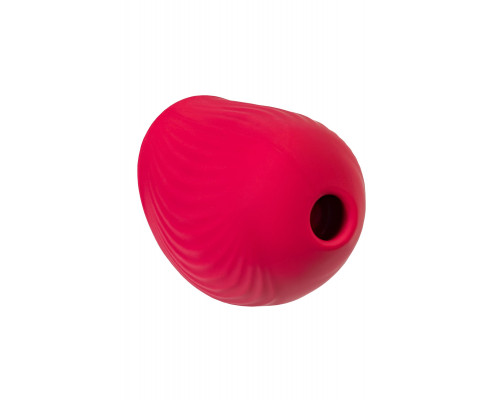 Заказать Красный вакуум-волновой стимулятор клитора Birdie