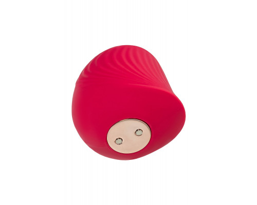 Заказать Красный вакуум-волновой стимулятор клитора Birdie
