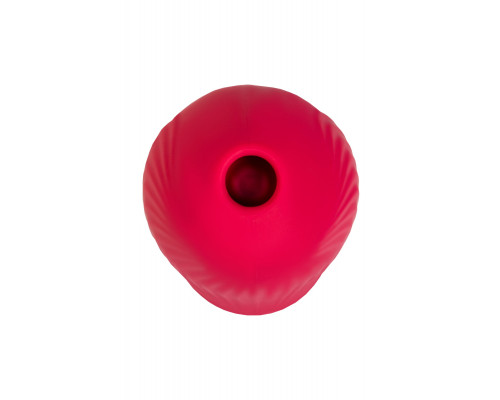 Заказать Красный вакуум-волновой стимулятор клитора Birdie