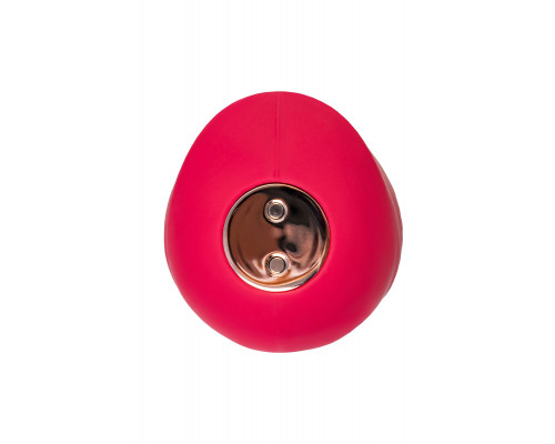 Заказать Красный вакуум-волновой стимулятор клитора Birdie