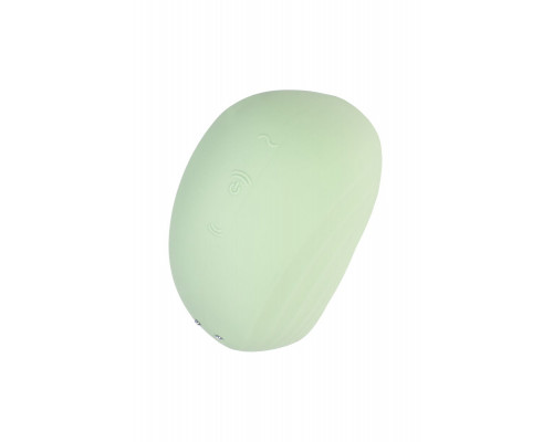 Заказать Салатовый вакуум-волновой стимулятор клитора Satisfyer Pearl Diver Заказать Салатовый вакуум-волновой стимулятор клитора Satisfyer Pearl Diver