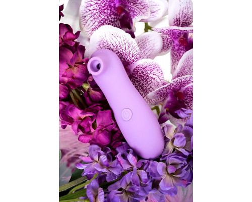 Заказать Сиреневый вакуум-волновой стимулятор клитора Lilac
