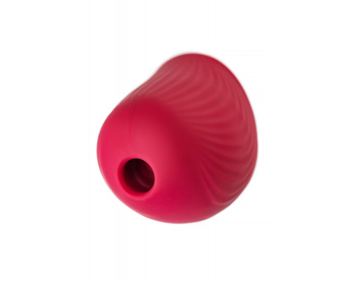 Заказать Красный вакуум-волновой стимулятор клитора Birdie
