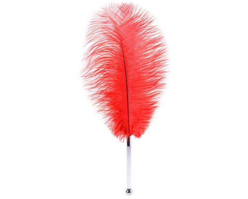 Заказать Красное страусиное пёрышко - 40 см.