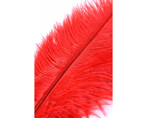 Заказать Красное страусиное пёрышко - 40 см.