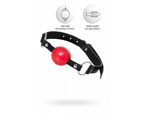 Заказать Красный кляп-шар на черных ремешках Anonymo