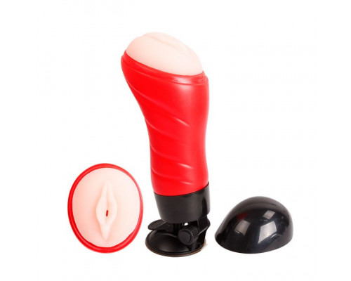 Заказать Мастурбатор-вагина Delia с вибрацией и голосом