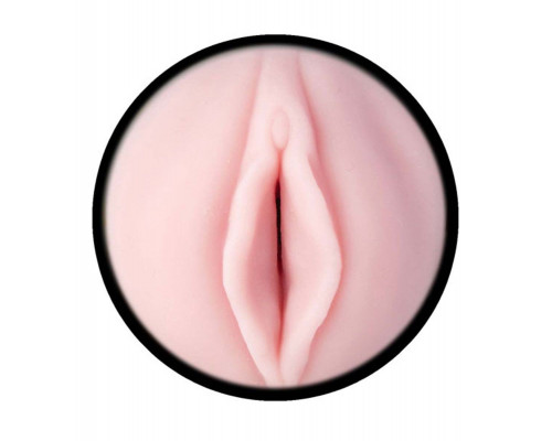 Мастурбатор-вагина Fleshlight - Pink Lady Destroya