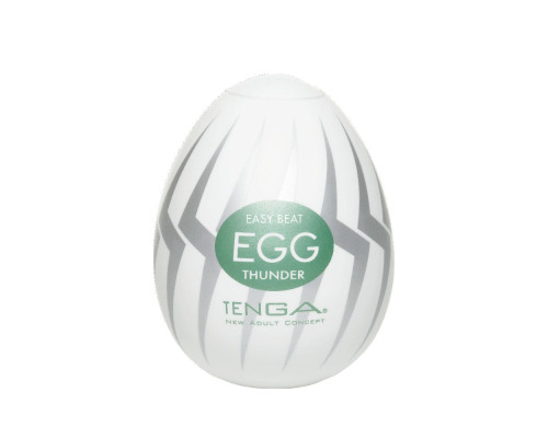 Заказать Мастурбатор-яйцо THUNDER