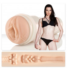 Мастурбатор-вагина Fleshlight Girls - Stoya Destroya