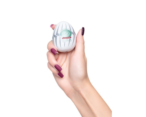 Заказать Мастурбатор-яйцо THUNDER