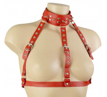 Красный кожаный ошейник-сбруя