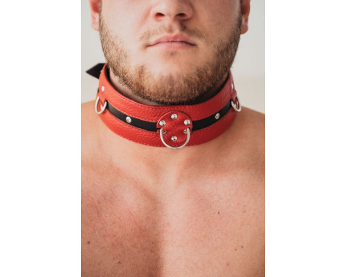 Заказать Черно-красный кожаный ошейник увеличенного размера