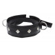 Заказать Полиуретановый ошейник с пуклями и D-кольцами Collar with Studs