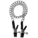 Заказать Зажимы на соски Block Busters Nipple Clamps с цепью