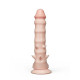 Заказать Фаллоимитатор REAL Standard с шипами - 21 см.