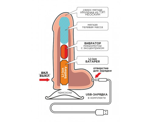 Заказать Телесный вибратор-реалистик NEOSKINUM - 22 см. Заказать Телесный вибратор-реалистик NEOSKINUM - 22 см.