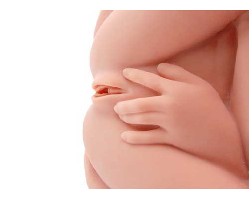 Заказать Реалистичный торс-девушка Hera 3 с тремя тугими отверстиями, вибрацией, ротацией и голосом