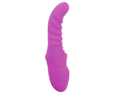 Заказать Фиолетовый вибратор Rechargeable G Curve - 20 см.
