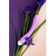 Заказать Фиолетовый вибратор Lantana - 22 см.