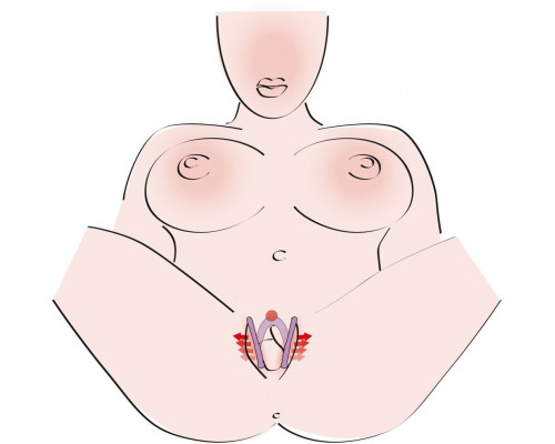 Заказать Фиолетовый гибкий фаллоимитатор Intimate Spreader для G-стимуляции