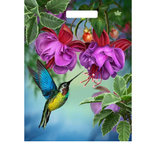 Пакет с принтом в виде колибри в цветах с вырубной ручкой (31х40 см)