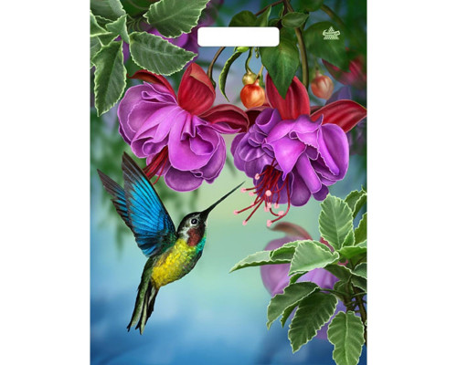 Пакет с принтом в виде колибри в цветах с вырубной ручкой (31х40 см)