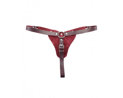 Заказать Бордовые трусики с кольцом для насадок Maroon Panties