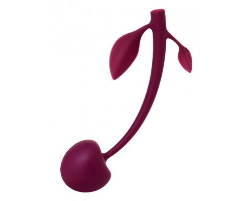 Бордовая вагинальная вишенка WILD CHERRY - 14,5 см.