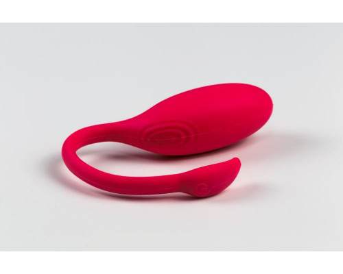 Заказать Розовый вагинальный стимулятор Flamingo