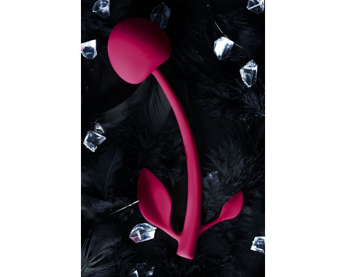 Бордовая вагинальная вишенка WILD CHERRY - 14,5 см.