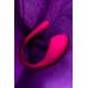 Заказать Розовое виброяйцо Lovense Lush 3