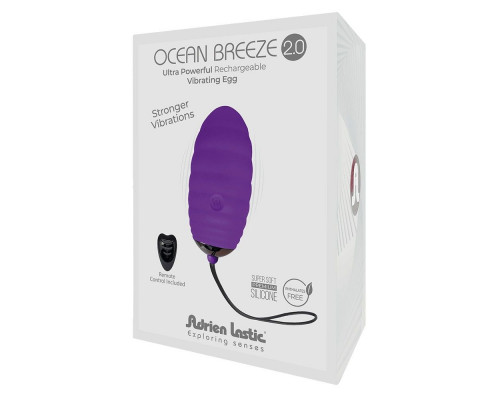 Заказать Фиолетовое виброяйцо с пультом ДУ Ocean Breeze 2.0 + LRS