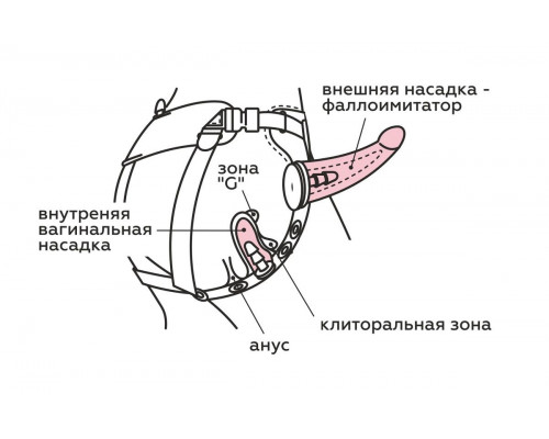 Заказать Женский пояс-трусики c 2 насадками и вагинальной пробкой Заказать Женский пояс-трусики c 2 насадками и вагинальной пробкой